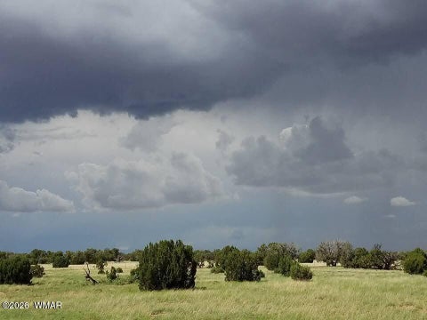 Tiny photo for TBD N5549, Concho, AZ 85924 (MLS # 263395)