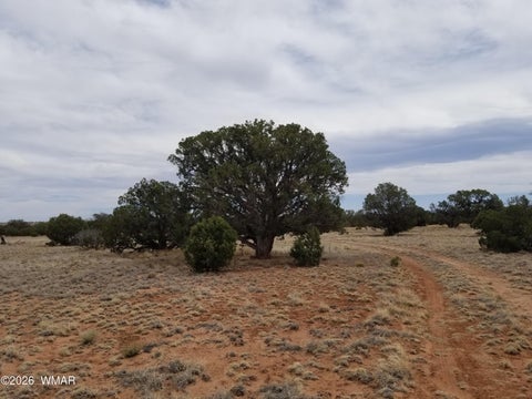 Tiny photo for TBD N5549, Concho, AZ 85924 (MLS # 263395)