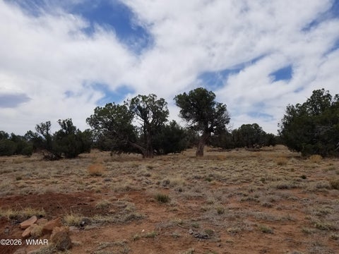Tiny photo for TBD N5549, Concho, AZ 85924 (MLS # 263395)