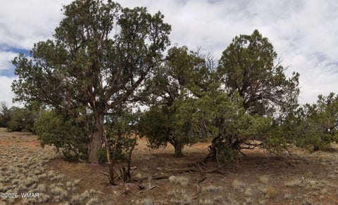 Tiny photo for TBD N5549, Concho, AZ 85924 (MLS # 263395)