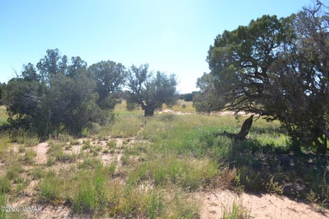 Tiny photo for TBD N5549, Concho, AZ 85924 (MLS # 263395)