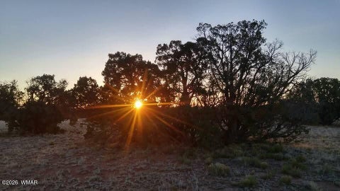 Tiny photo for TBD N5549, Concho, AZ 85924 (MLS # 263395)