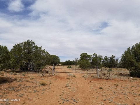 Tiny photo for TBD N5549, Concho, AZ 85924 (MLS # 263395)