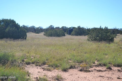 Tiny photo for TBD N5549, Concho, AZ 85924 (MLS # 263395)