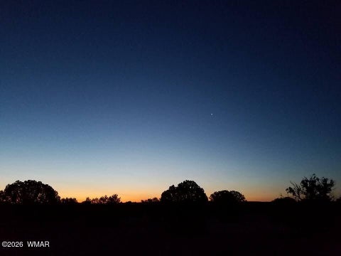 Tiny photo for TBD N5549, Concho, AZ 85924 (MLS # 263395)