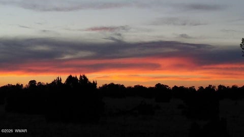 Tiny photo for TBD N5549, Concho, AZ 85924 (MLS # 263395)