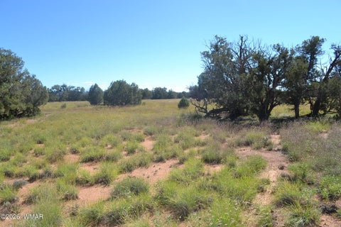 Tiny photo for TBD N5549, Concho, AZ 85924 (MLS # 263395)