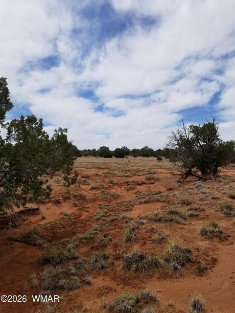 Tiny photo for TBD N5549, Concho, AZ 85924 (MLS # 263395)
