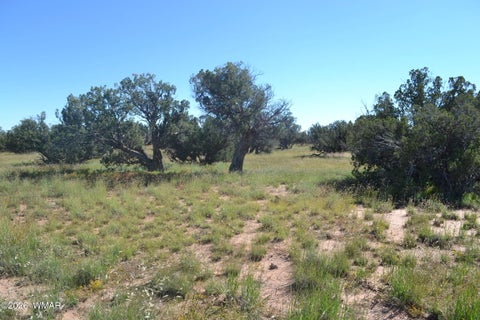 Tiny photo for TBD N5549, Concho, AZ 85924 (MLS # 263395)