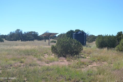 Photo of TBD N5549, Concho, AZ 85924 (MLS # 263395)