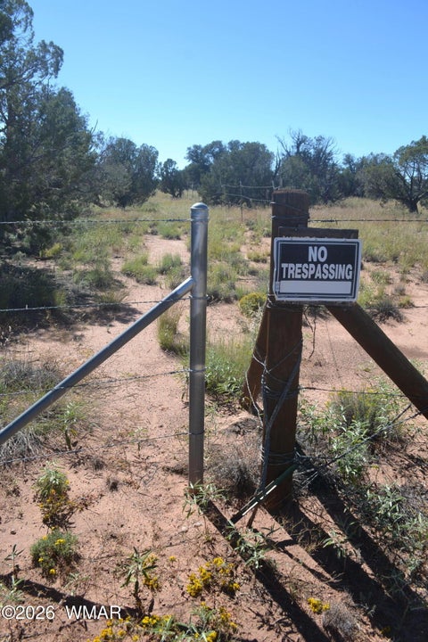 Tiny photo for TBD N5549, Concho, AZ 85924 (MLS # 263395)