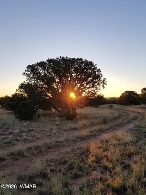 Tiny photo for TBD N5549, Concho, AZ 85924 (MLS # 263395)