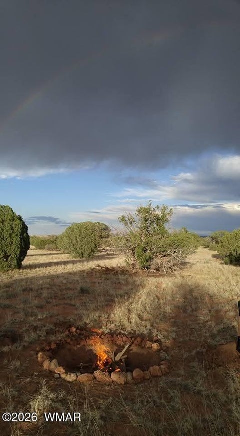 Tiny photo for TBD N5549, Concho, AZ 85924 (MLS # 263395)