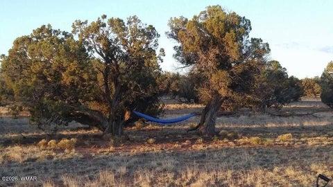 Tiny photo for TBD N5549, Concho, AZ 85924 (MLS # 263395)