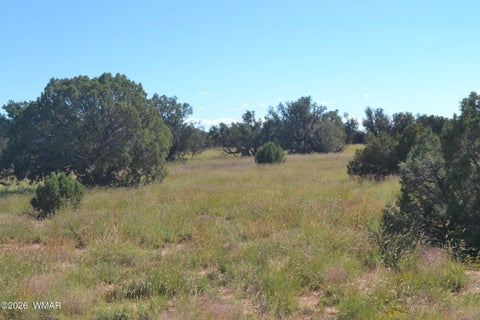 Tiny photo for TBD N5549, Concho, AZ 85924 (MLS # 263395)