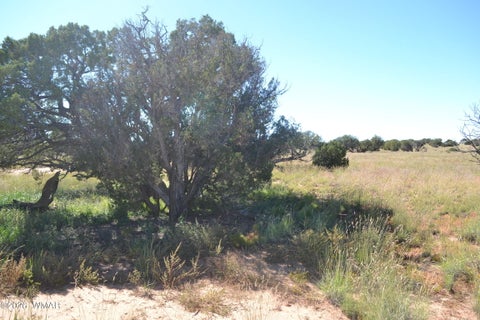 Tiny photo for TBD N5549, Concho, AZ 85924 (MLS # 263395)