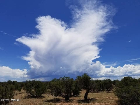Tiny photo for TBD N5549, Concho, AZ 85924 (MLS # 263395)