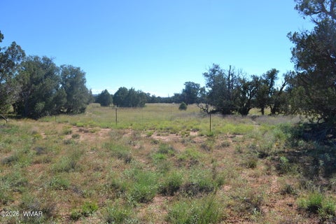 Tiny photo for TBD N5549, Concho, AZ 85924 (MLS # 263395)