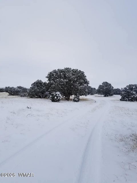 Tiny photo for TBD N5549, Concho, AZ 85924 (MLS # 263395)