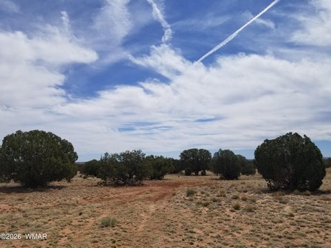 Tiny photo for TBD N5549, Concho, AZ 85924 (MLS # 263395)
