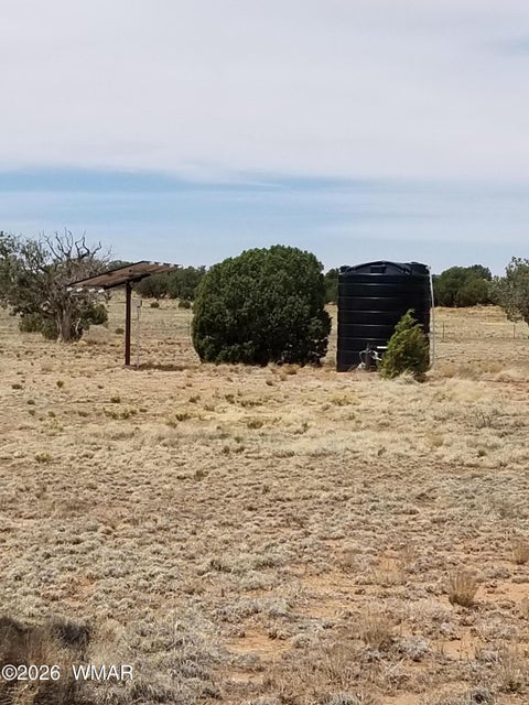 Tiny photo for TBD N5549, Concho, AZ 85924 (MLS # 263395)