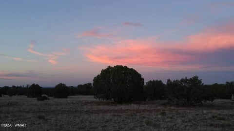 Tiny photo for TBD N5549, Concho, AZ 85924 (MLS # 263395)