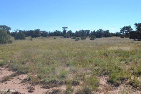 Tiny photo for TBD N5549, Concho, AZ 85924 (MLS # 263395)