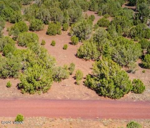 Tiny photo for 84 County Rd 3133, Vernon, AZ 85940 (MLS # 252934)