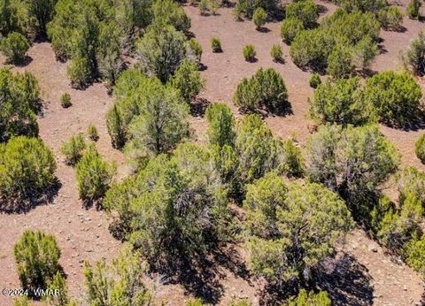Tiny photo for 84 County Rd 3133, Vernon, AZ 85940 (MLS # 252934)