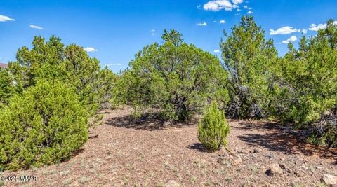 Photo of 84 County Rd 3133, Vernon, AZ 85940 (MLS # 252934)