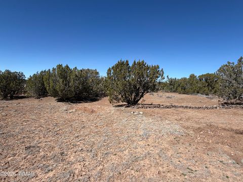 Tiny photo for 63 County Road, Concho, AZ 85924 (MLS # 259382)