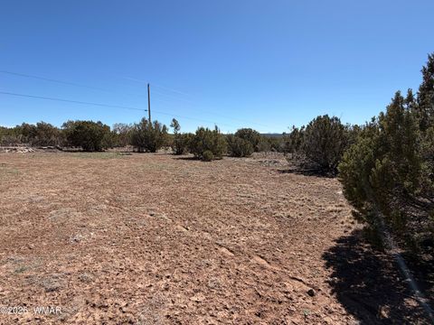 Tiny photo for 63 County Road, Concho, AZ 85924 (MLS # 259382)