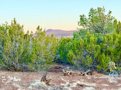 Tiny photo for 6 Co Rd 3086 1.15 Acres, Vernon, AZ 85940 (MLS # 259667)