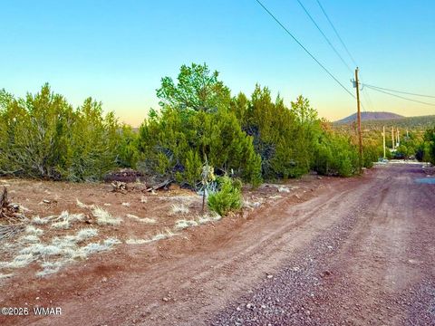 Tiny photo for 6 Co Rd 3086 1.15 Acres, Vernon, AZ 85940 (MLS # 259667)