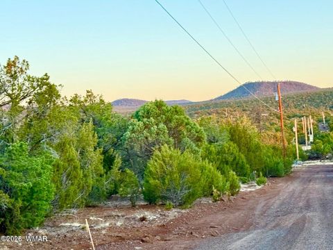Tiny photo for 6 Co Rd 3086 1.15 Acres, Vernon, AZ 85940 (MLS # 259667)