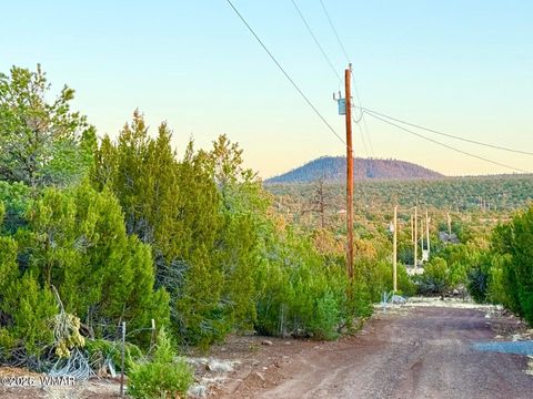 Tiny photo for 6 Co Rd 3086 1.15 Acres, Vernon, AZ 85940 (MLS # 259667)
