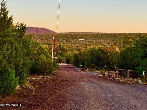 Tiny photo for 6 Co Rd 3086 1.15 Acres, Vernon, AZ 85940 (MLS # 259667)