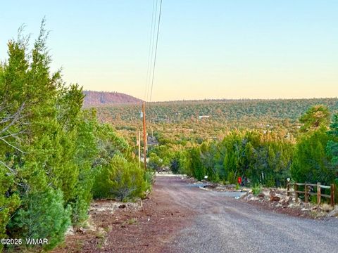 Tiny photo for 6 Co Rd 3086 1.15 Acres, Vernon, AZ 85940 (MLS # 259667)