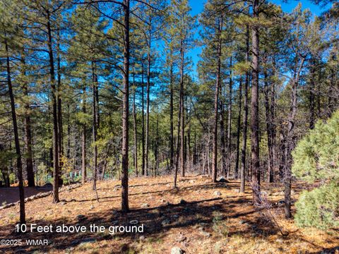 Tiny photo for 2189 Creekside Court, Pinetop, AZ 85935 (MLS # 258536)