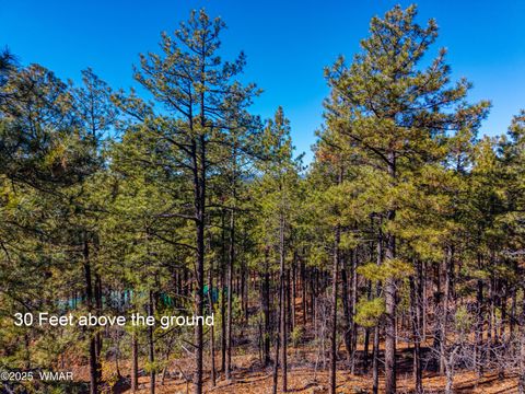 Tiny photo for 2189 Creekside Court, Pinetop, AZ 85935 (MLS # 258536)