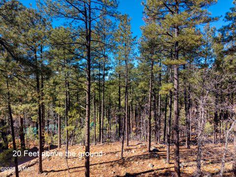 Tiny photo for 2189 Creekside Court, Pinetop, AZ 85935 (MLS # 258536)