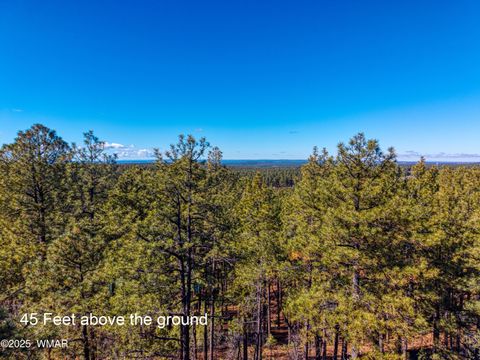Tiny photo for 2189 Creekside Court, Pinetop, AZ 85935 (MLS # 258536)