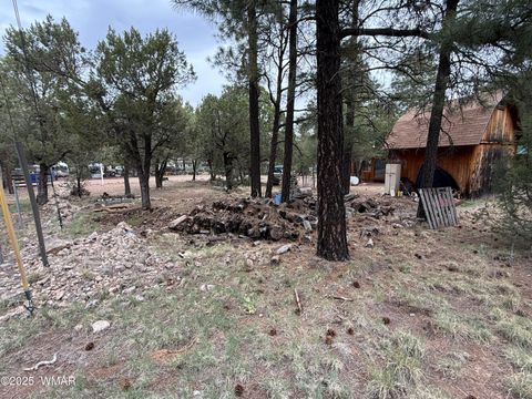 Tiny photo for 2181 Hashknife Drive, Overgaard, AZ 85933 (MLS # 257115)