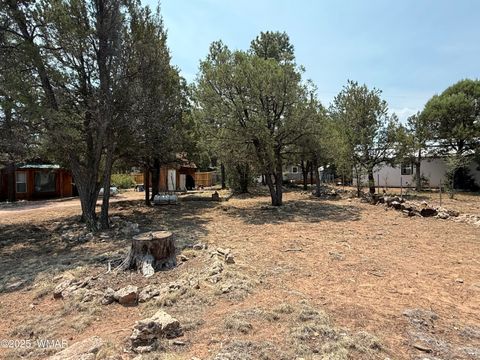 Tiny photo for 2181 Hashknife Drive, Overgaard, AZ 85933 (MLS # 257115)