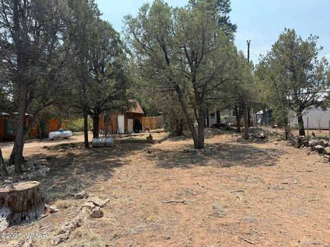Photo of 2181 Hashknife Drive, Overgaard, AZ 85933 (MLS # 257115)
