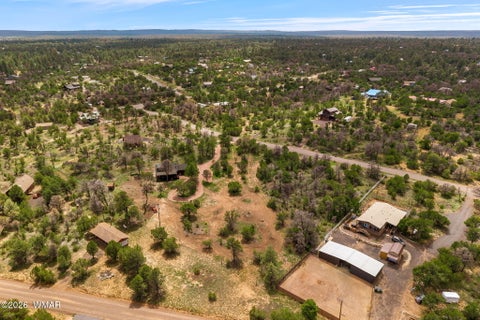 Tiny photo for 3351 Apache Drive, Overgaard, AZ 85933 (MLS # 262571)
