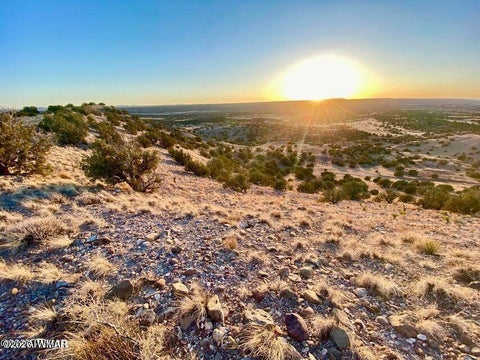 Photo of TBD Co Rd 5060 1.38 Acres, Concho, AZ 85924 (MLS # 262678)