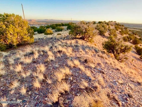 Tiny photo for TBD Co Rd 5060 1.38 Acres, Concho, AZ 85924 (MLS # 262678)