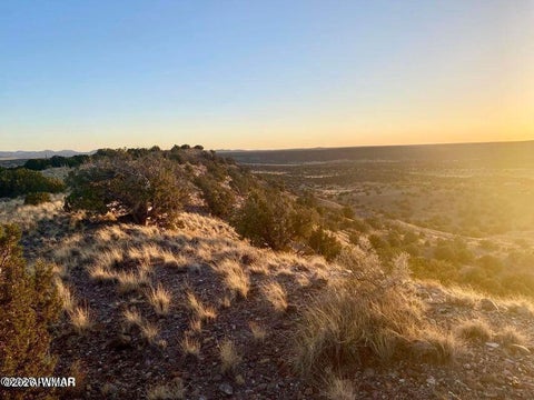 Tiny photo for TBD Co Rd 5060 1.38 Acres, Concho, AZ 85924 (MLS # 262678)