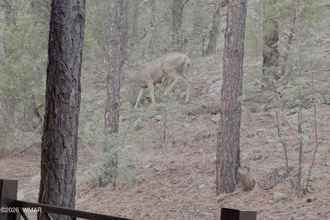 Tiny photo for 4840 Tatanka Drive, Show Low, AZ 85901 (MLS # 259844)